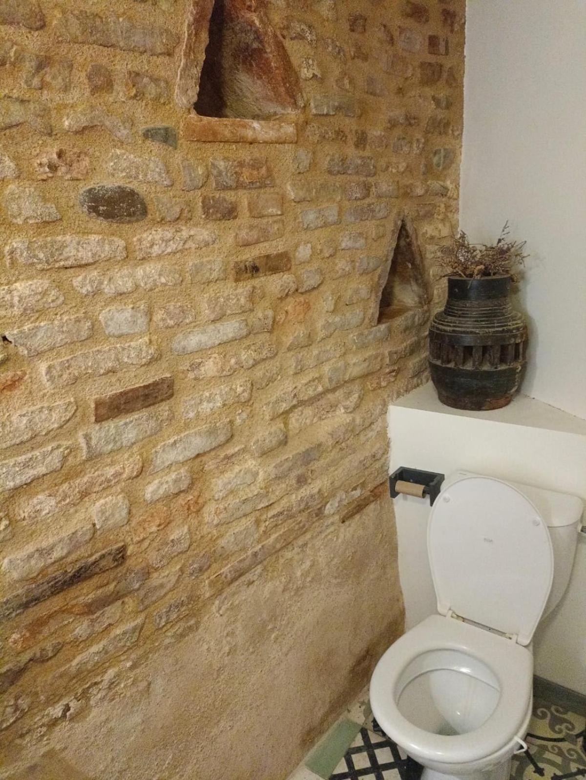 La Lauze Et L'Anguille Bed & Breakfast Gaillac Dış mekan fotoğraf